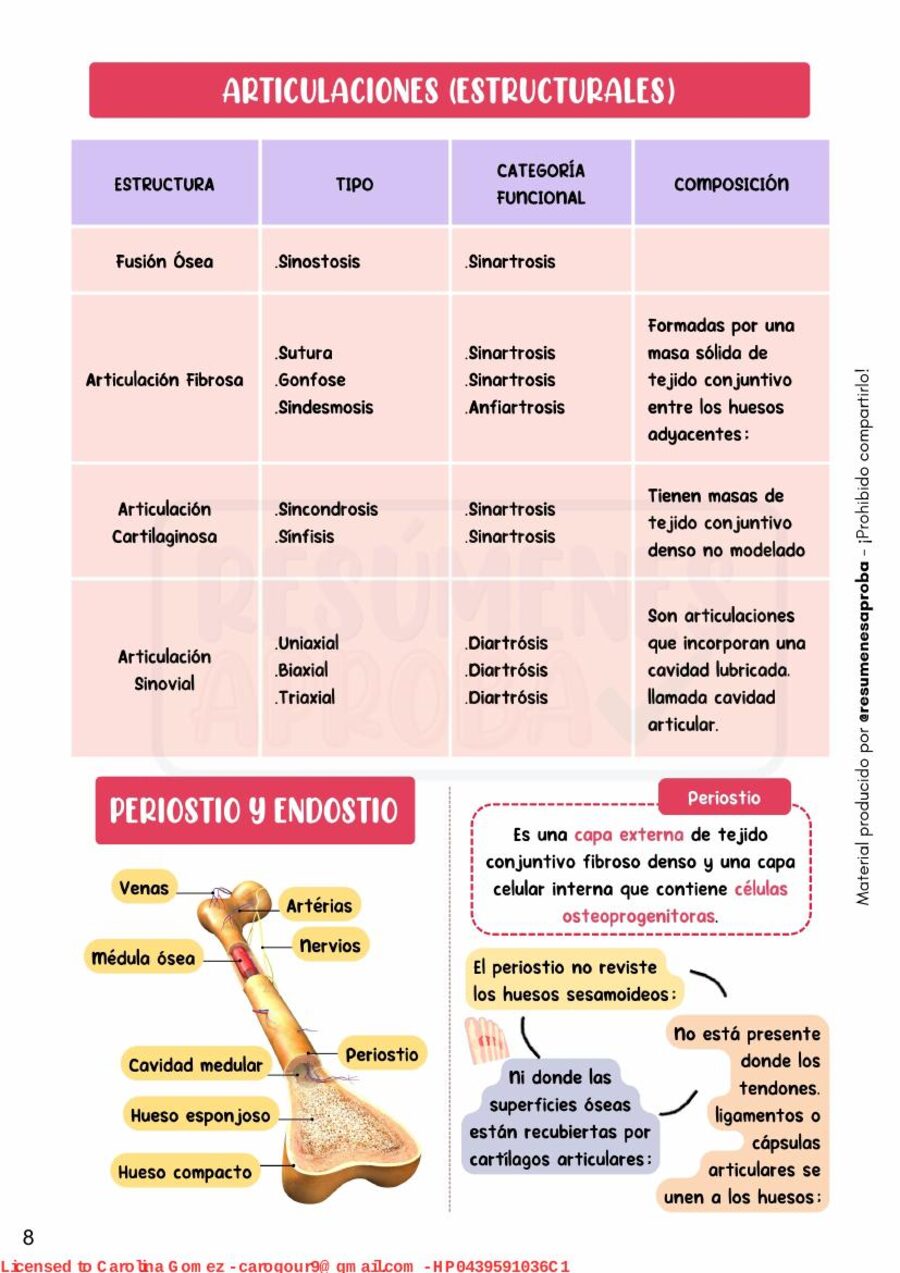 Vista previa: Articulaciones y periostio